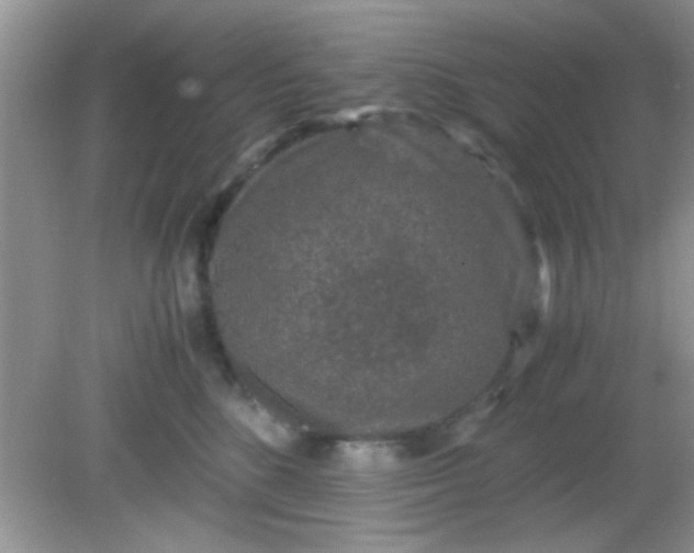 X0000081610520200701291430