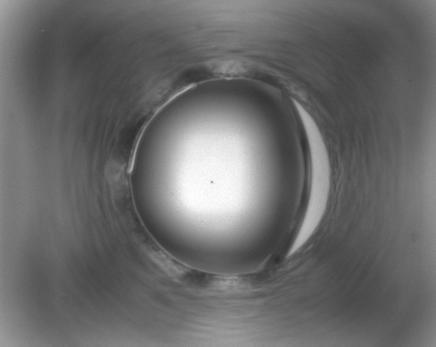 X0000081610521200701291430