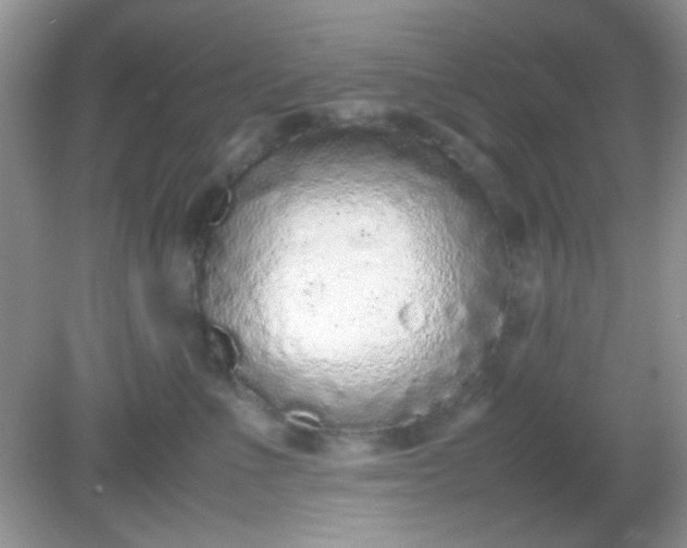 X0000081610523200701291430