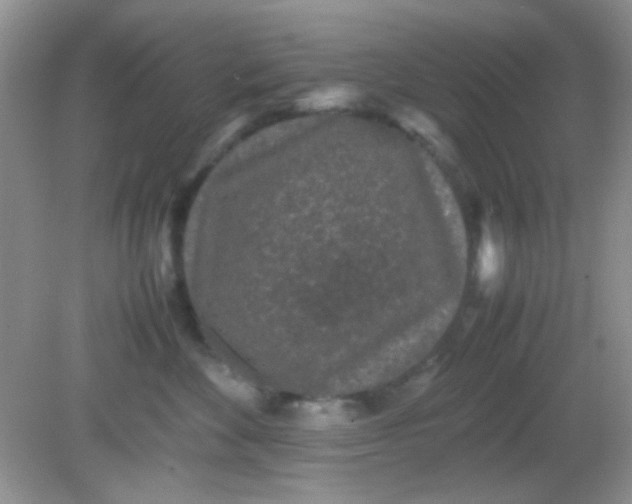 X0000081610524200701291430