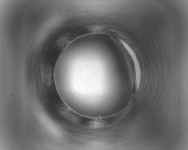 X0000081610525200701291430