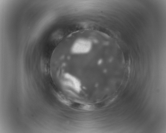 X0000081610527200701291430