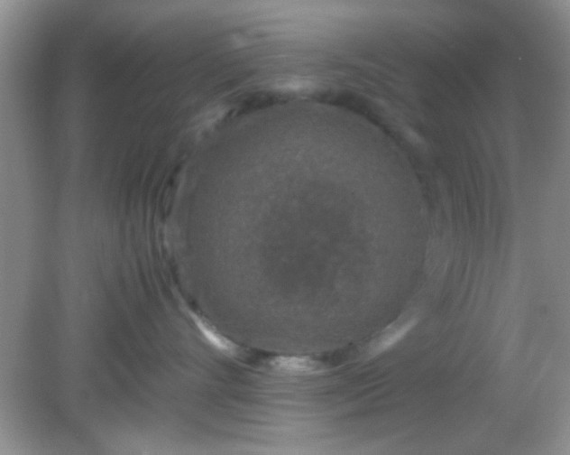 X0000081610528200701291430