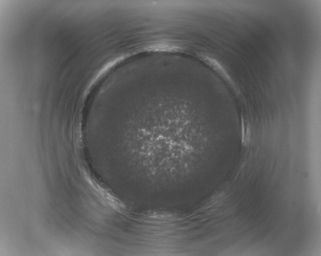 X0000081610531200701291429