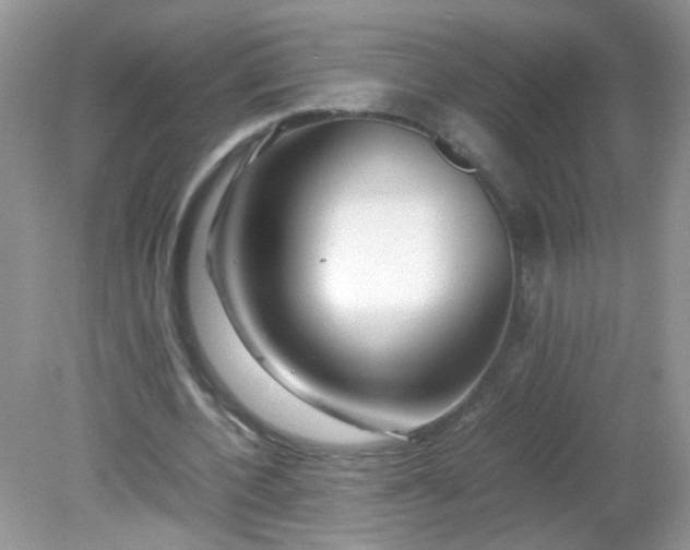 X0000081610532200701291429