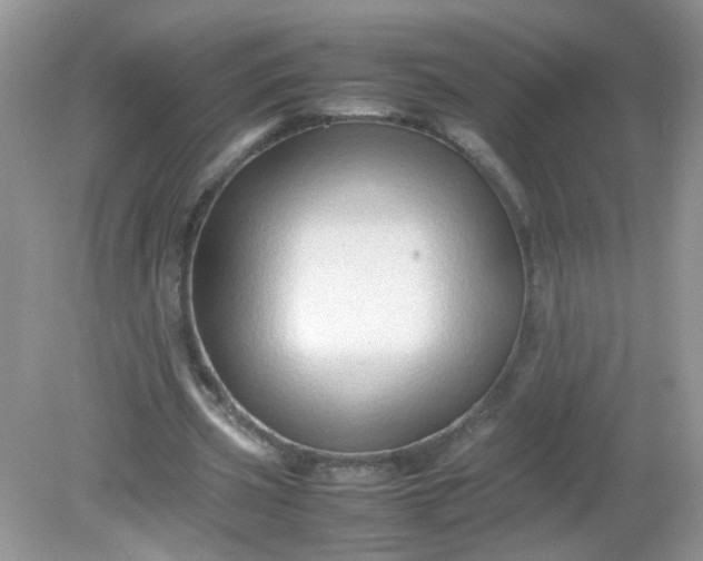 X0000081610533200701291429