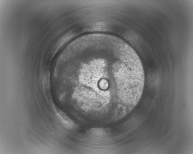 X0000081610534200701291429