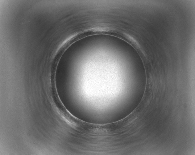 X0000081610535200701291429