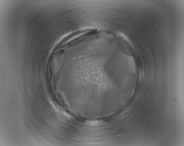 X0000081610540200701291429