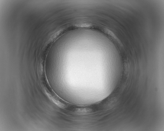 X0000081610541200701291430