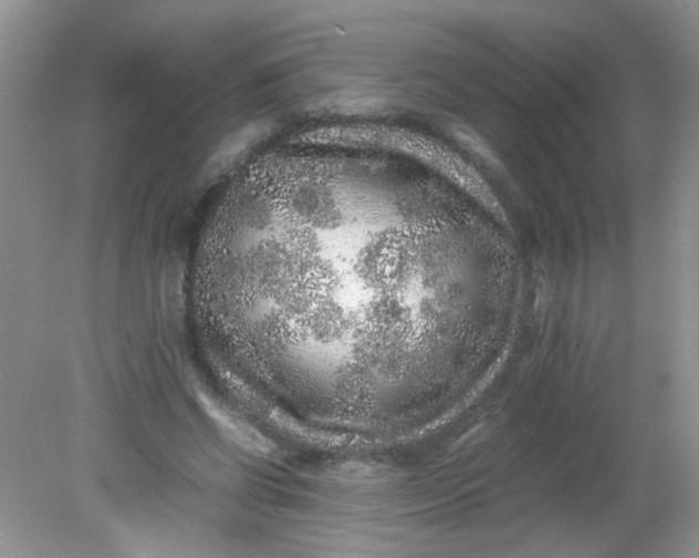 X0000081610542200701291430