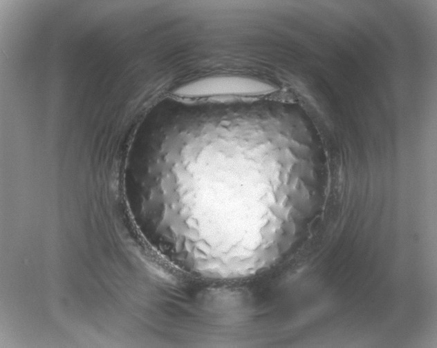 X0000081610545200701291430