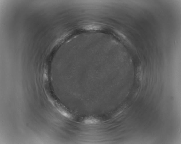 X0000081610547200701291430