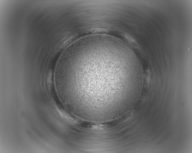 X0000081610550200701291430