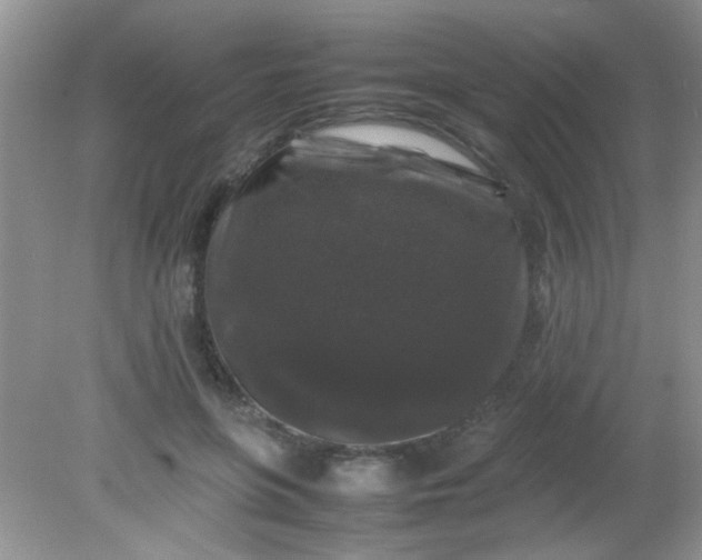 X0000081610551200701291430