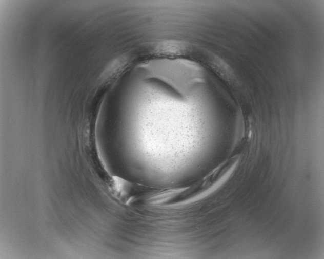 X0000081610552200701291430