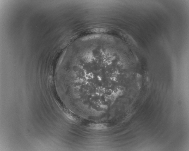 X0000081610553200701291430