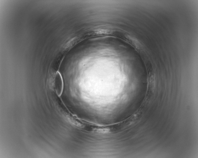 X0000081610554200701291430