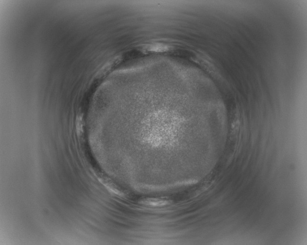 X0000081610555200701291430