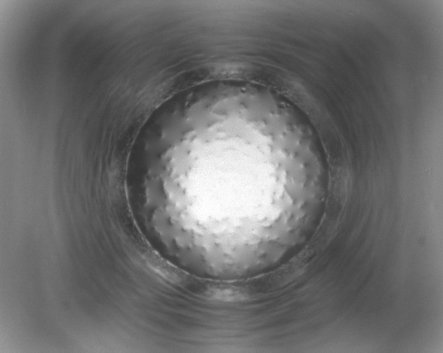 X0000081610557200701291430