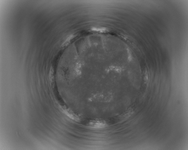 X0000081610559200701291430