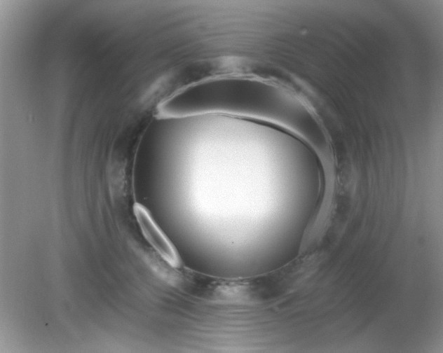 X0000081610560200701291430