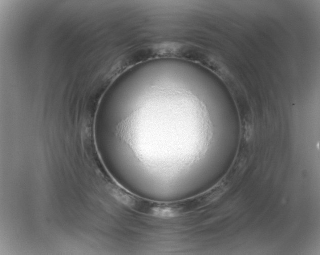 X0000081610561200701291430