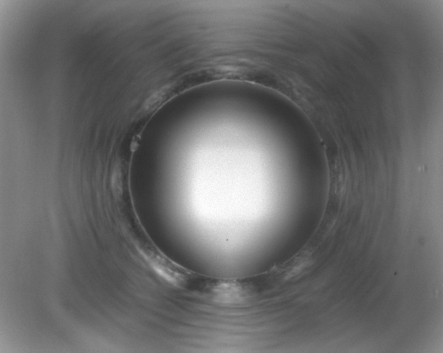 X0000081610562200701291430