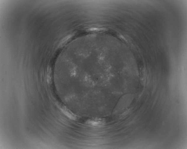 X0000081610563200701291430