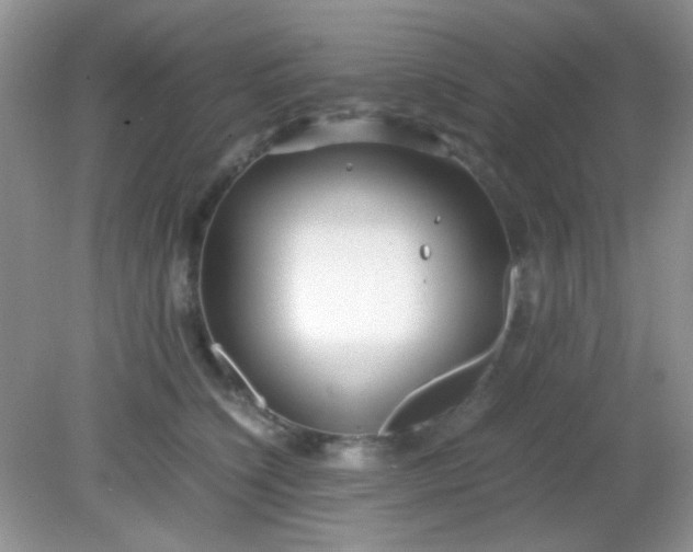 X0000081610564200701291430