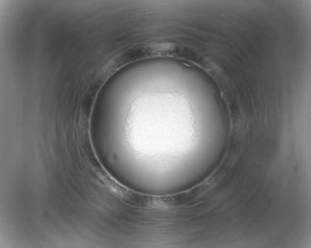 X0000081610565200701291430