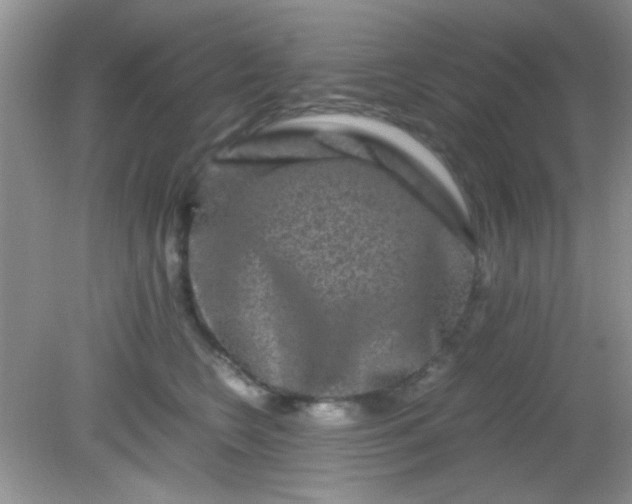 X0000081610566200701291430