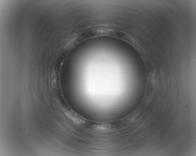 X0000081610567200701291430