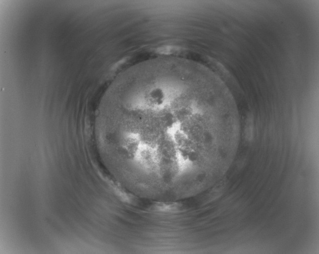 X0000081610569200701291430