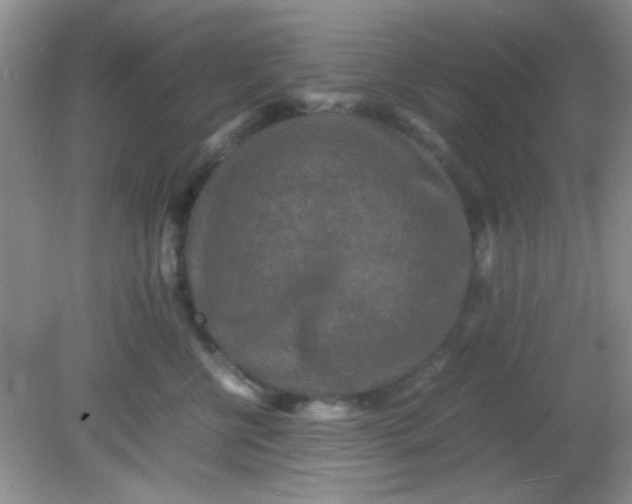 X0000081610570200701291430