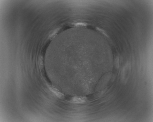 X0000081610571200701291430