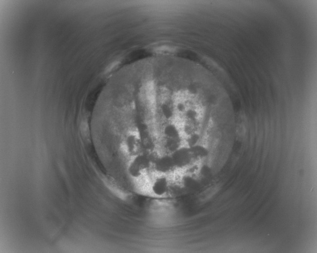 X0000081610573200701291430