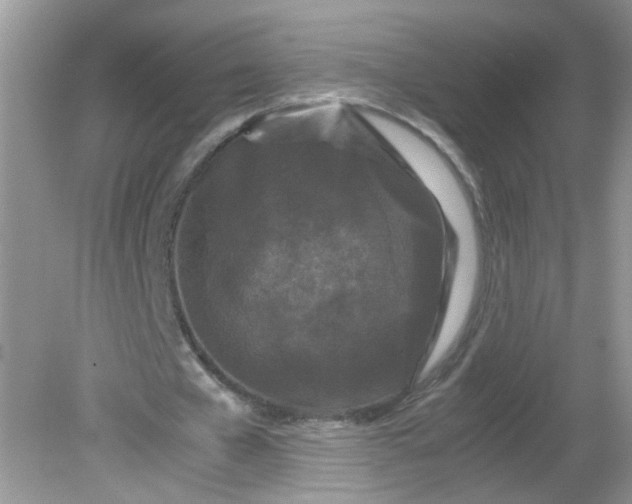 X0000081610577200701291429