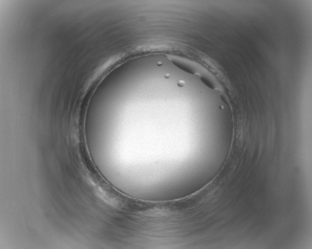 X0000081610578200701291429