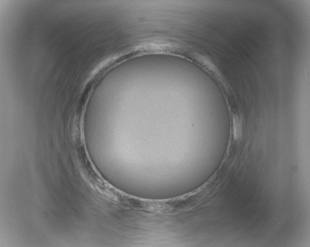 X0000081610579200701291429