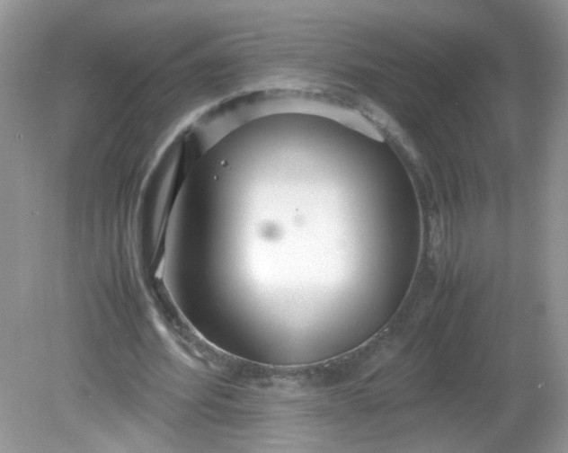 X0000081610580200701291429