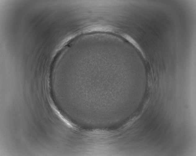 X0000081610581200701291429