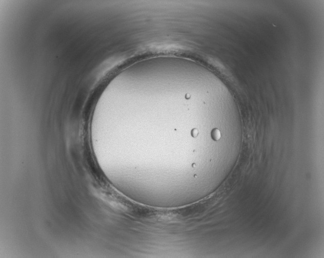 X0000081610583200701291429