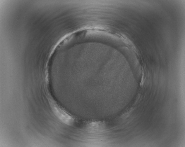 X0000081610584200701291429