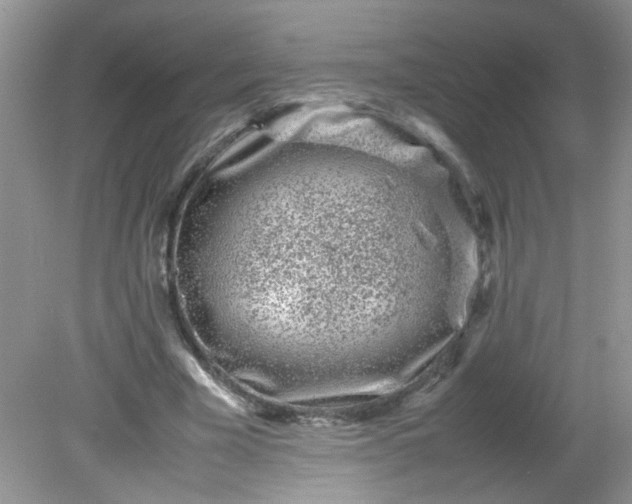 X0000081610585200701291429