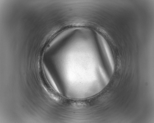 X0000081610586200701291429