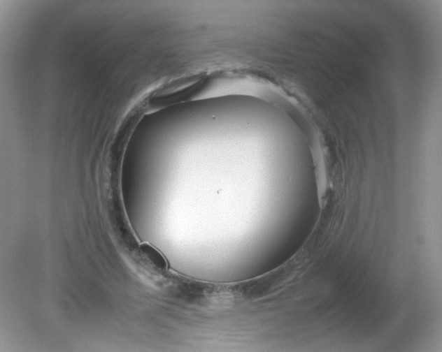 X0000081610587200701291429