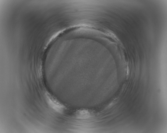 X0000081610588200701291429