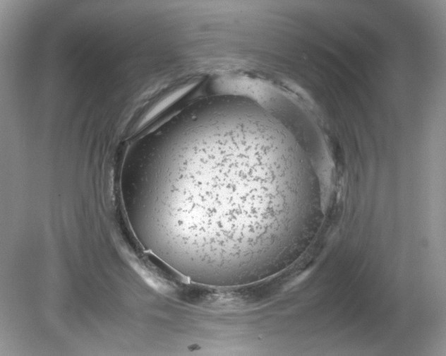 X0000081610589200701291429