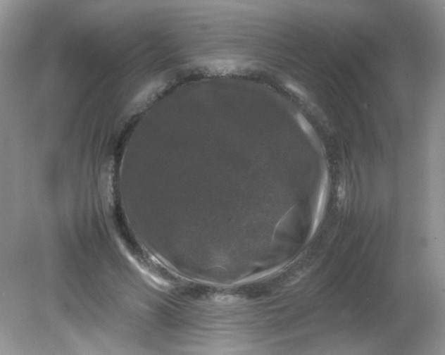 X0000081610590200701291429